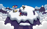 During the Mountain Expedition.