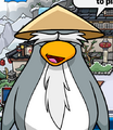 Sensei.