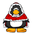 The Winter Cape on a player card.