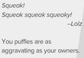 A question from Lolz in the Club Penguin Times.