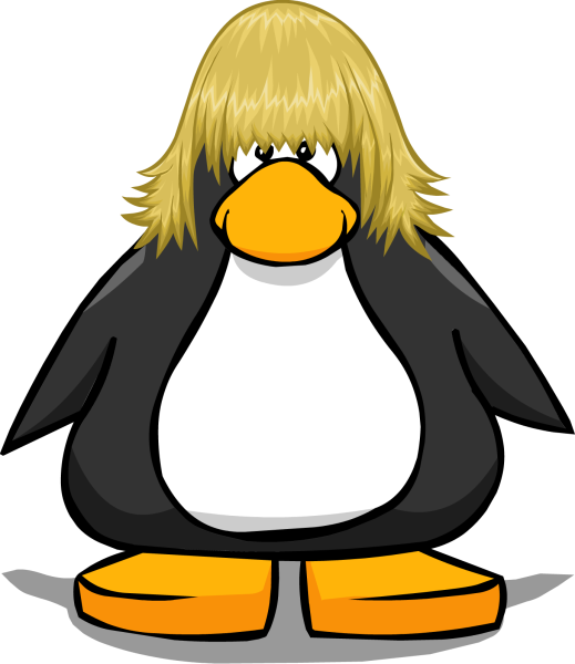 File:Skater Wig on Penguin.png