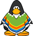 The Winter Poncho on a player card.