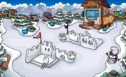 The Snow Forts