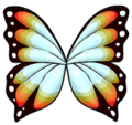 Butterfly Wings