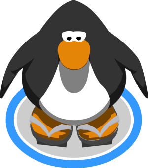 ColdSnapSandals1.PNG