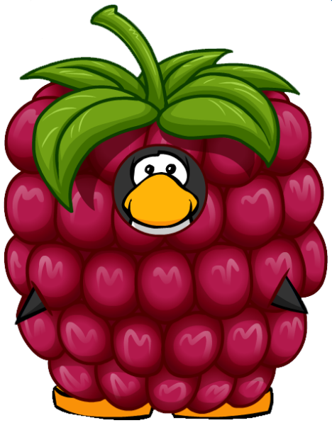 File:RaspberyCostume2.png