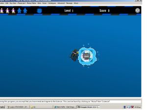 Black Puffle.JPG