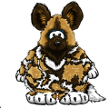 The African Painted Dog Costume on a player card.
