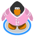 The PNK Sweater in-game.
