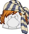 The Swabbie