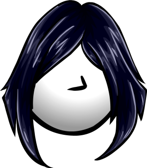 The Posh.PNG