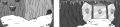 Thumbnail for version as of 15:56, 28 August 2024