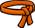 The Orange Belt.