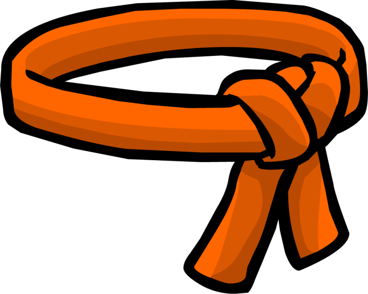 File:OrangeBelt.png