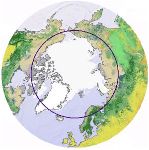 Arctic circle1.jpg