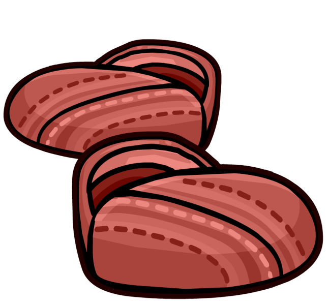 File:PinkCanvasShoes.png