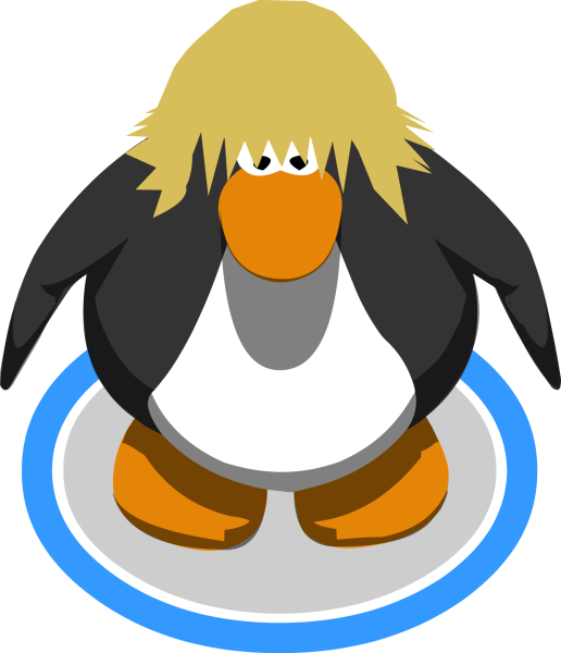 File:Skater Wig in Game.png