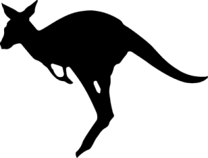 Will k - kangaroo.png