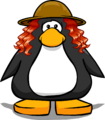 The Alaska's Explorer Hat on a player card.