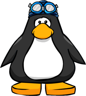 SwimCapandGoggles2.PNG