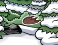 The pin's location.