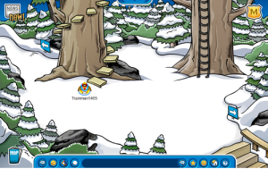 MedievalParty2008 Forest.PNG