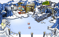 During the Puffle Party 2011