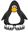 The Snow Monkey Feet on a player card.