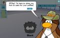PH's old look on the Puffle Card