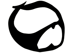 2006ninjamask.png