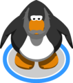 The Gray Beard in-game.