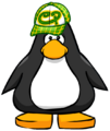 The Green Skater Hat on a player card.