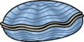 Clam