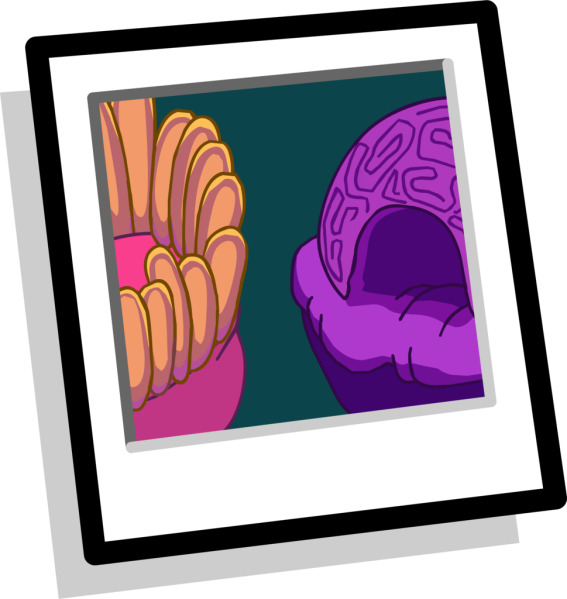File:ReefBackground.png