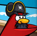 Rockhopper looking out to sea on board The Migrator.