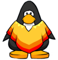 The Poncho from a Player Card.