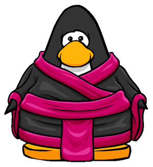 TeaCeremonyRobe2.PNG