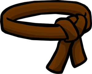 BrownBelt.png
