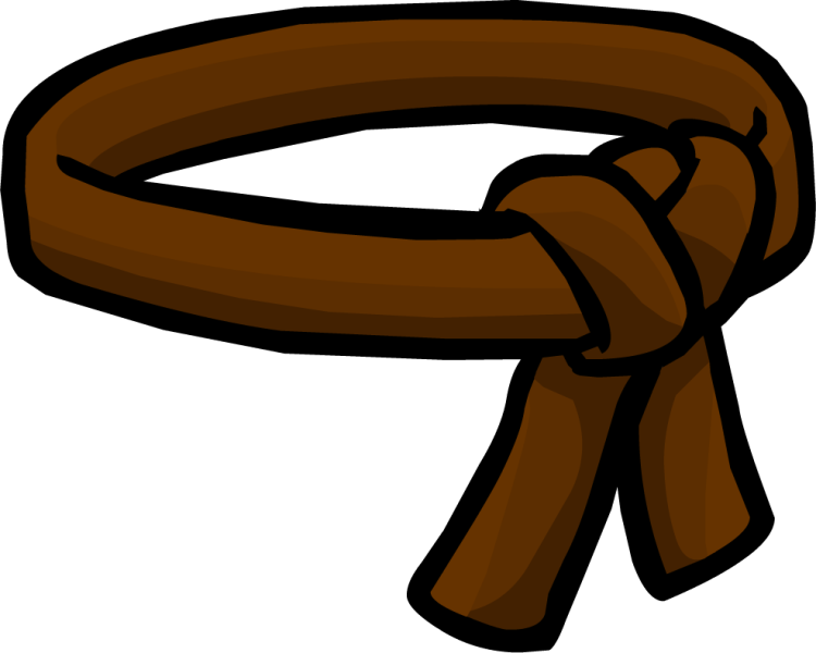 File:BrownBelt.png