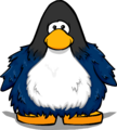 The Fuzzy Experiment on a player card.
