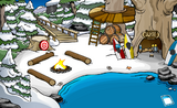 The Cove