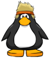 The Crowd Surf Cape on a player card.