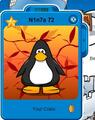 A penguin with the background.