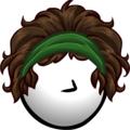 The Eco-Brunette