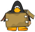 The Box Costume on a player card.