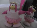A ballerina practicing ballet.