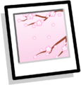 Inventory icon