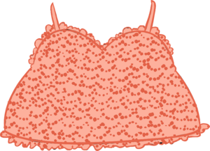 CoralBeachDress.PNG