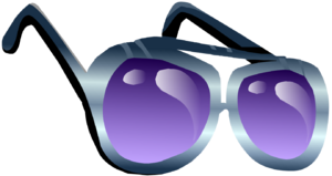 IndigoSunglasses.PNG