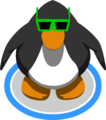 The Green Sunglasses in-game.